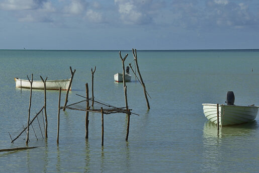 01-Barques amarées en mer
